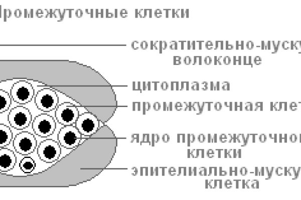 Кракен сбой