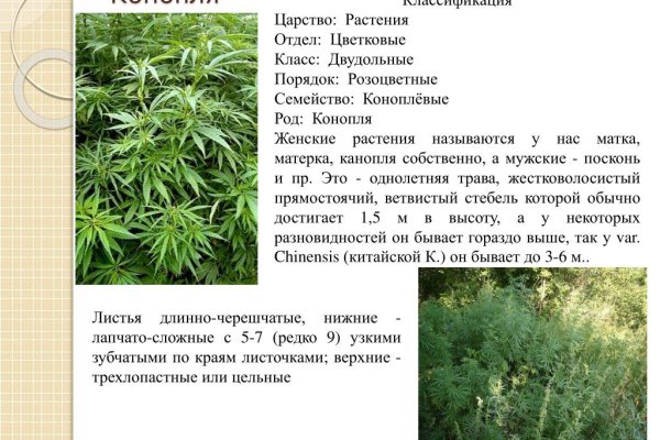 Кракен сайт покупок