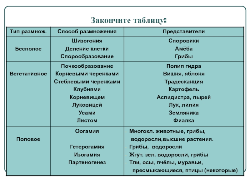 Kraken 15 at сайт